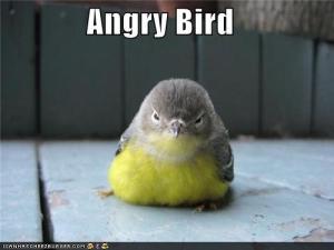 funny-anger-quotes-pictures-6